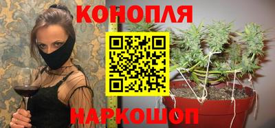 jwh Будённовск